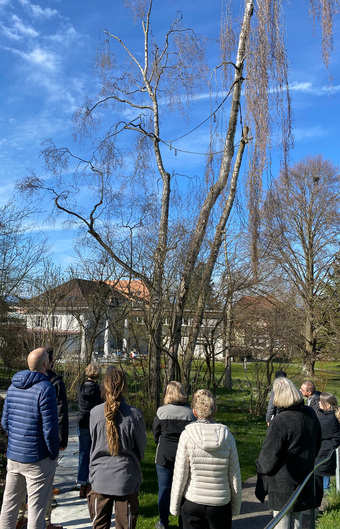 Keine Beschreibung